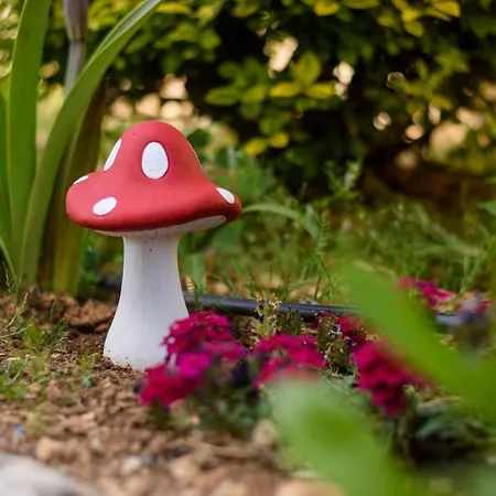 Nikos & Vassilis Kefalonia شقة Vlachata