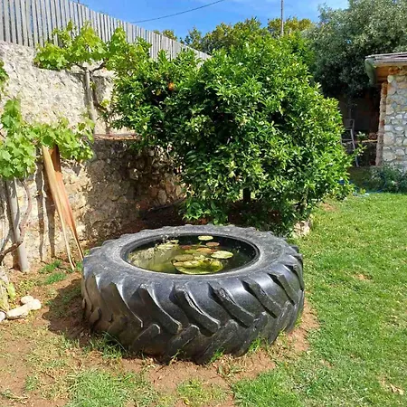 شقة Nikos & Vassilis Kefalonia *