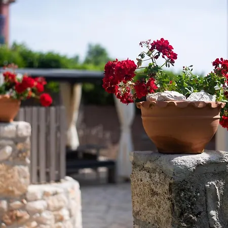 Nikos & Vassilis Kefalonia *